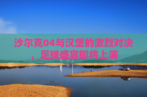 沙尔克04与汉堡的激烈对决，足球盛宴即将上演