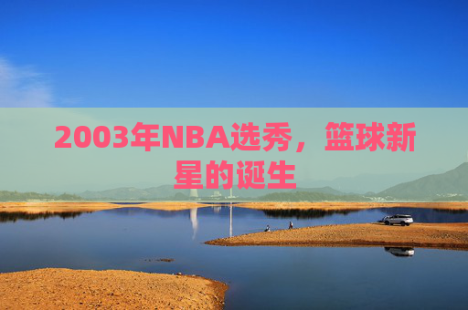 2003年NBA选秀，篮球新星的诞生