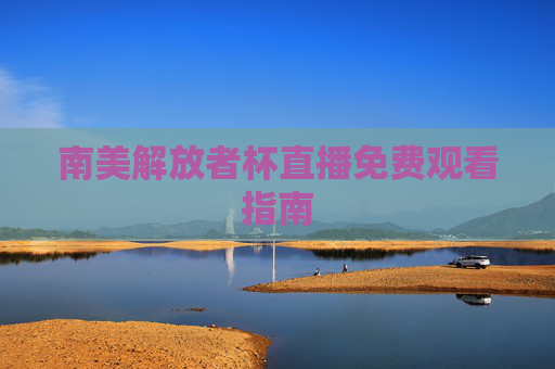 南美解放者杯直播免费观看指南