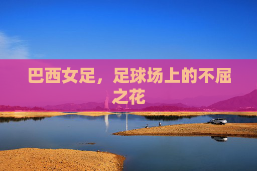 巴西女足，足球场上的不屈之花