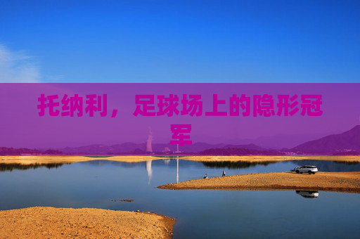 托纳利,足球场上的隐形冠军 托纳利,足球场上的隐形冠军