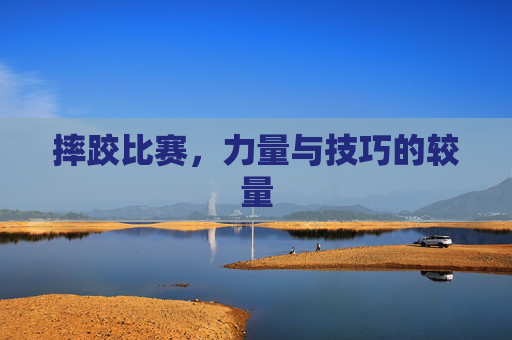 摔跤比赛，力量与技巧的较量