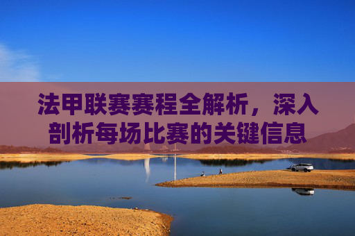 法甲联赛赛程全解析，深入剖析每场比赛的关键信息