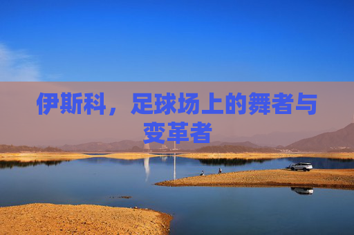 伊斯科，足球场上的舞者与变革者