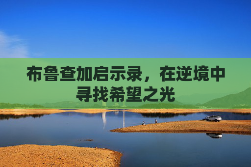 布鲁查加启示录，在逆境中寻找希望之光