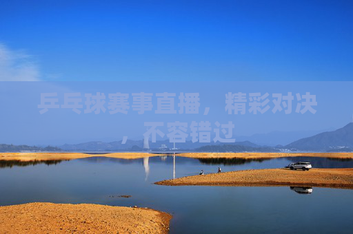 乒乓球赛事直播，精彩对决，不容错过