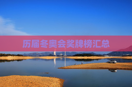 历届冬奥会奖牌榜汇总