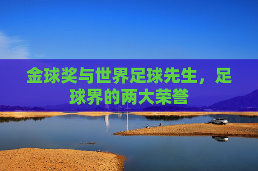 金球奖与世界足球先生，足球界的两大荣誉