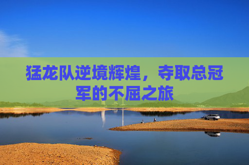 猛龙队逆境辉煌，夺取总冠军的不屈之旅