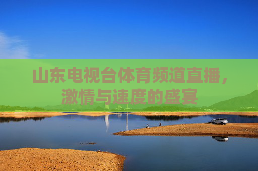 山东电视台体育频道直播,激情与速度的盛宴 山东电视台体育频道直播,激情与速度的盛宴