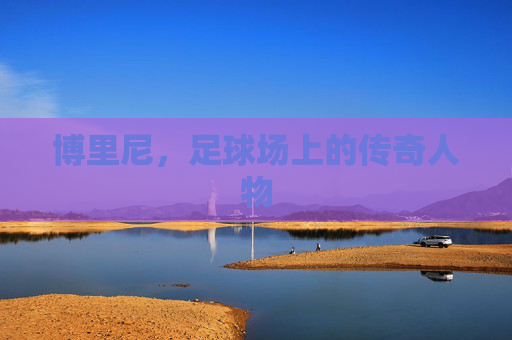 博里尼,足球场上的传奇人物 博里尼,足球场上的传奇人物