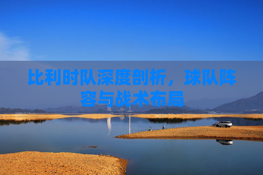 比利时队深度剖析,球队阵容与战术布局 比利时队深度剖析,球队阵容与战术布局