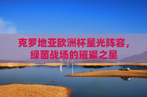 克罗地亚欧洲杯星光阵容，绿茵战场的璀璨之星