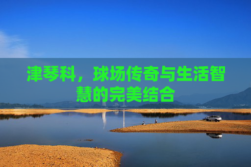 津琴科，球场传奇与生活智慧的完美结合