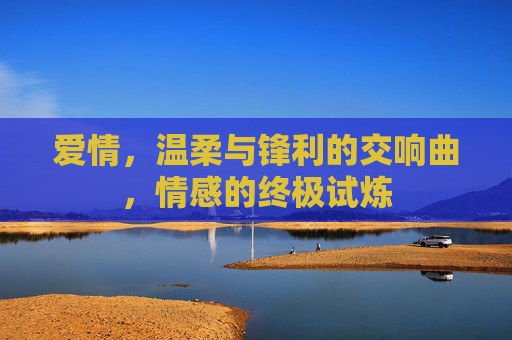 爱情，温柔与锋利的交响曲，情感的终极试炼