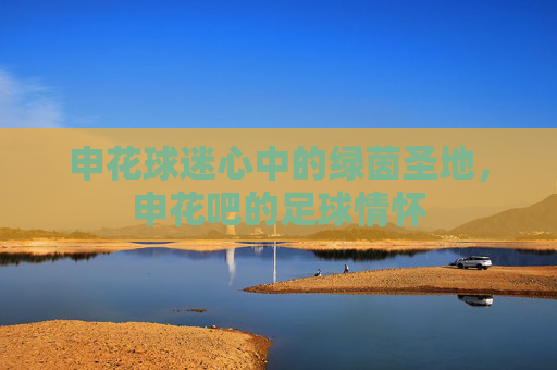 申花球迷心中的绿茵圣地，申花吧的足球情怀