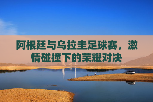 阿根廷与乌拉圭足球赛，激情碰撞下的荣耀对决