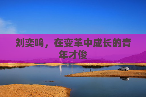 刘奕鸣，在变革中成长的青年才俊