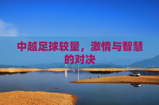 中越足球较量，激情与智慧的对决