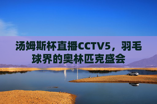 汤姆斯杯直播CCTV5，羽毛球界的奥林匹克盛会