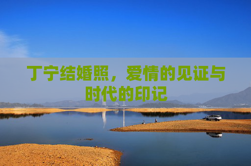 丁宁结婚照，爱情的见证与时代的印记