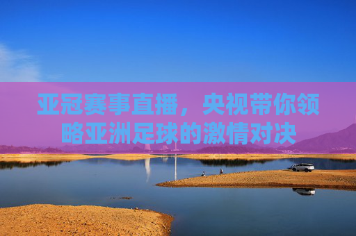 亚冠赛事直播，央视带你领略亚洲足球的激情对决
