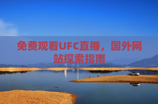 免费观看UFC直播，国外网站探索指南