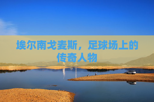 埃尔南戈麦斯，足球场上的传奇人物