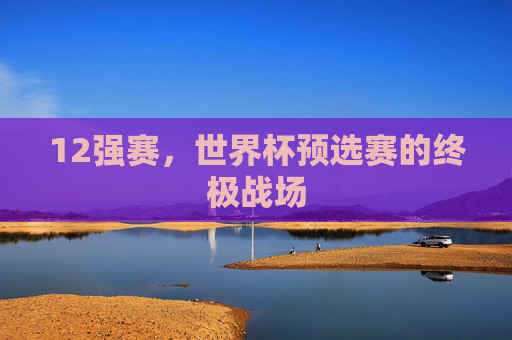 12强赛，世界杯预选赛的终极战场