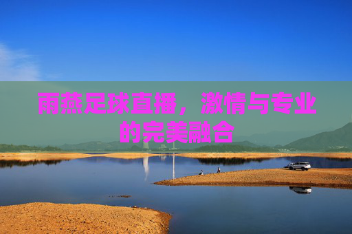 雨燕足球直播，激情与专业的完美融合