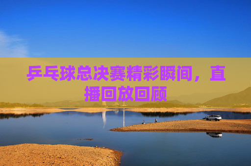 乒乓球总决赛精彩瞬间，直播回放回顾
