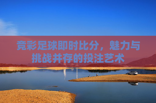 竞彩足球即时比分，魅力与挑战并存的投注艺术