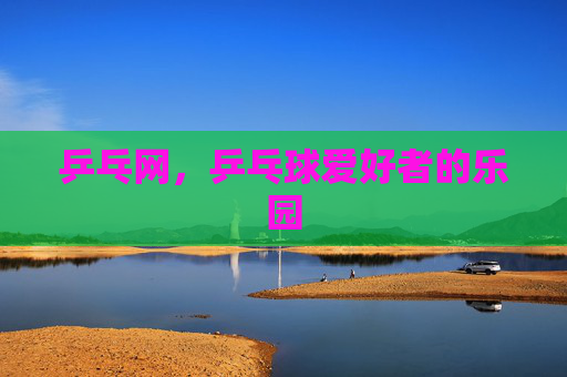 乒乓网，乒乓球爱好者的乐园
