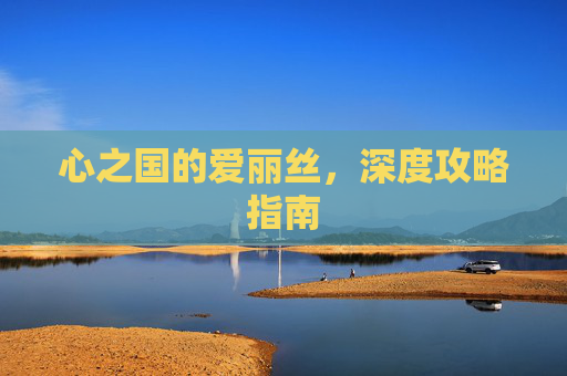 心之国的爱丽丝，深度攻略指南