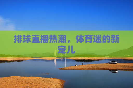 排球直播热潮，体育迷的新宠儿