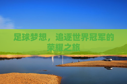 足球梦想，追逐世界冠军的荣耀之旅
