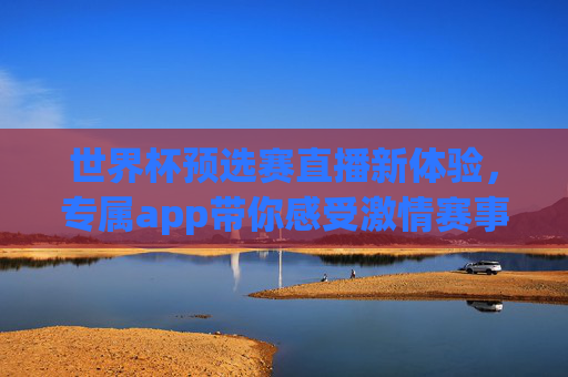 世界杯预选赛直播新体验，专属app带你感受激情赛事