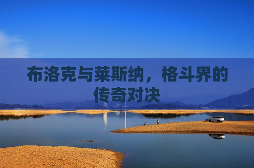 布洛克与莱斯纳，格斗界的传奇对决