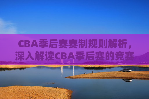 CBA季后赛赛制规则解析，深入解读CBA季后赛的竞赛结构与策略