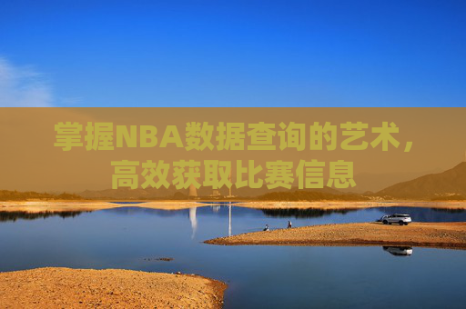 掌握NBA数据查询的艺术，高效获取比赛信息