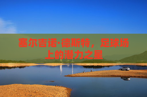 塞尔吉诺·德斯特，足球场上的潜力之星