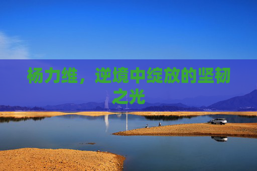 杨力维，逆境中绽放的坚韧之光