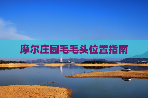 摩尔庄园毛毛头位置指南