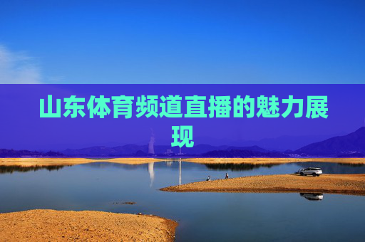 山东体育频道直播的魅力展现