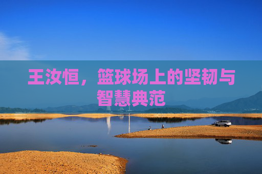 王汝恒,篮球场上的坚韧与智慧典范 王汝恒,篮球场上的坚韧与智慧典范