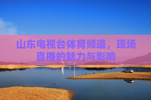 山东电视台体育频道，现场直播的魅力与影响