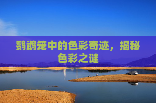 鹦鹉笼中的色彩奇迹，揭秘色彩之谜