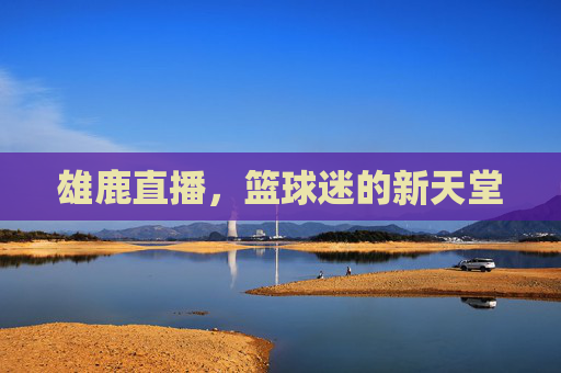 雄鹿直播，篮球迷的新天堂