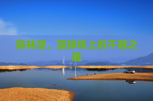 陈林坚,篮球场上的不屈之魂 陈林坚,篮球场上的不屈之魂