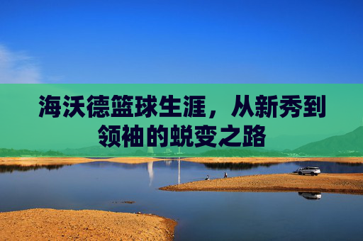 海沃德篮球生涯，从新秀到领袖的蜕变之路
